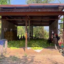 Processing tobacco to electronic music?! 😂