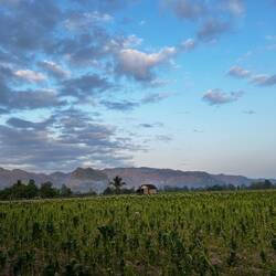 The view from our bungalow