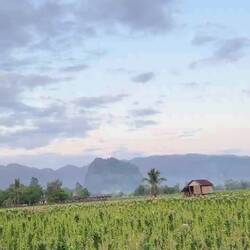 How lucky I am to be here 🥹