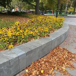 Ich darf dieses Jahr 2 Mal Herbst erleben 😍🥰🍁