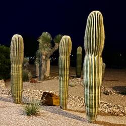 Meine Unterkunft befindet sich nur einen kurzen Fussmarsch vom Flughafen entfernt.
