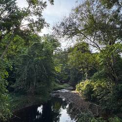 Khao Yai is a beautiful place.