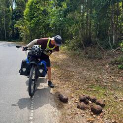 Yes. Elephant dung. A sure sign. Lots of it on the climb though the park