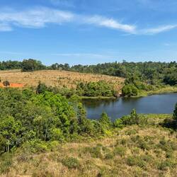 The red salt lick from the viewing tower we stopped at.