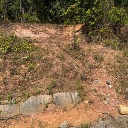 Elephant footpath?