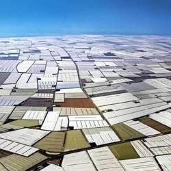 Eine Fläche ca 30.000 bis 40.000 Hektaren