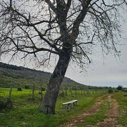 A thoughtfully placed bench, of which I made use
