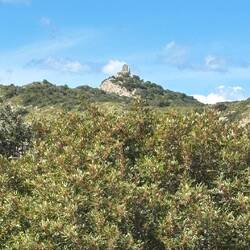 Dort wollten wir heute eigentlich rauf - Torre Cacciarella