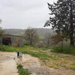My cousin's farmhouse.