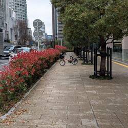 Neben den vielen Regeln findet man im Verkehr auch so etwas