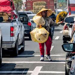 Er macht sein Geschäft im Stau