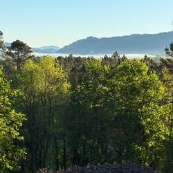 Steam rising off the water in the distance
