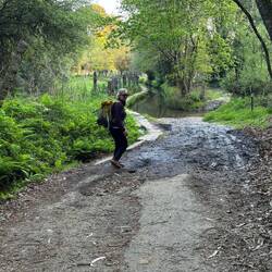 Fewer cobblestones today:)