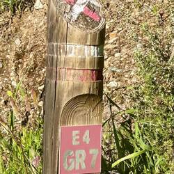 The elusive GR 7 had a sign with an X (don't go this way) but no trail to choose instead.