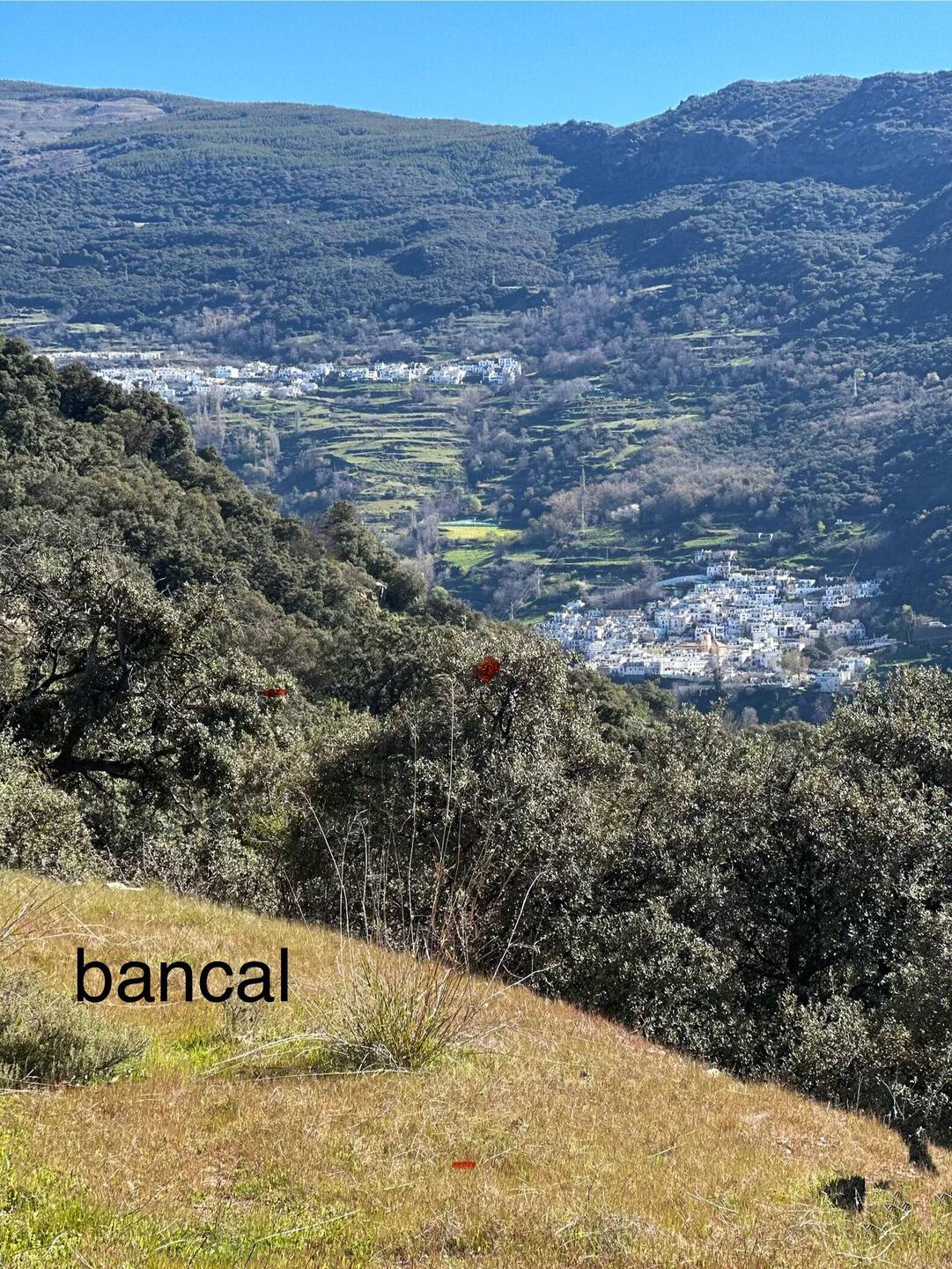 A bancal is a terrace supported by a balate; it's used for growing crops.