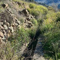 Acequia Cachariche