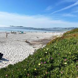 Carmel Beach