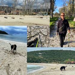 ..vor einigen Tagen habe ich wieder einmal mit Walken begonnen..