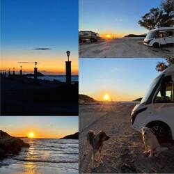 ..der weiße Rüde hat sich in unsere Lesley verliebt 🐾☺️