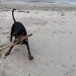 ..am letzten Tag lässt sich die Sonne nur kurz sehen,aber es bleibt angenehm mit 18Grad Tageswerte👍🏻🍀