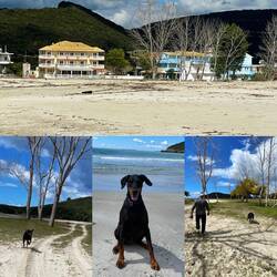 Lesley freut sich jedes mal aufs neue wenn sie an einem Sandstrand ankommt 🐾😍