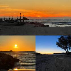 ..er bleibt die nächsten Tage immer bei uns und ist jeden Spaziergang dabei 🐶