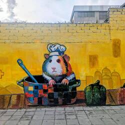 Hartes Schicksal für Meerschweinchen in Ecuador 🍽️