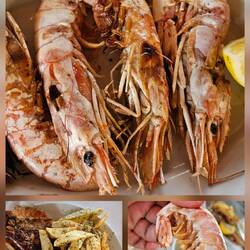 Essen in der Taverne vom Stellplatz