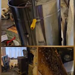 Honig wurde gerade geschleudert