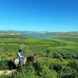 Aussicht auf den See Chahed