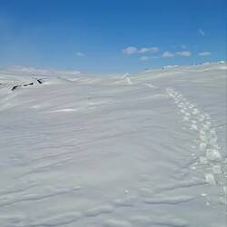 Bonus vidéos du jour partie 2