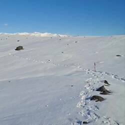 Bonus vidéos du jour partie 1