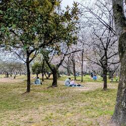 Picknick im Bereich des Gartens, wo Eintritt verlangt wird, deshalb so wenig los....