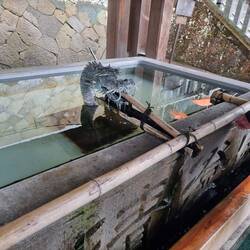 Purifying/zuiverend water