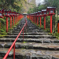 Laternenweg zum Eingang des Kifune Schreins