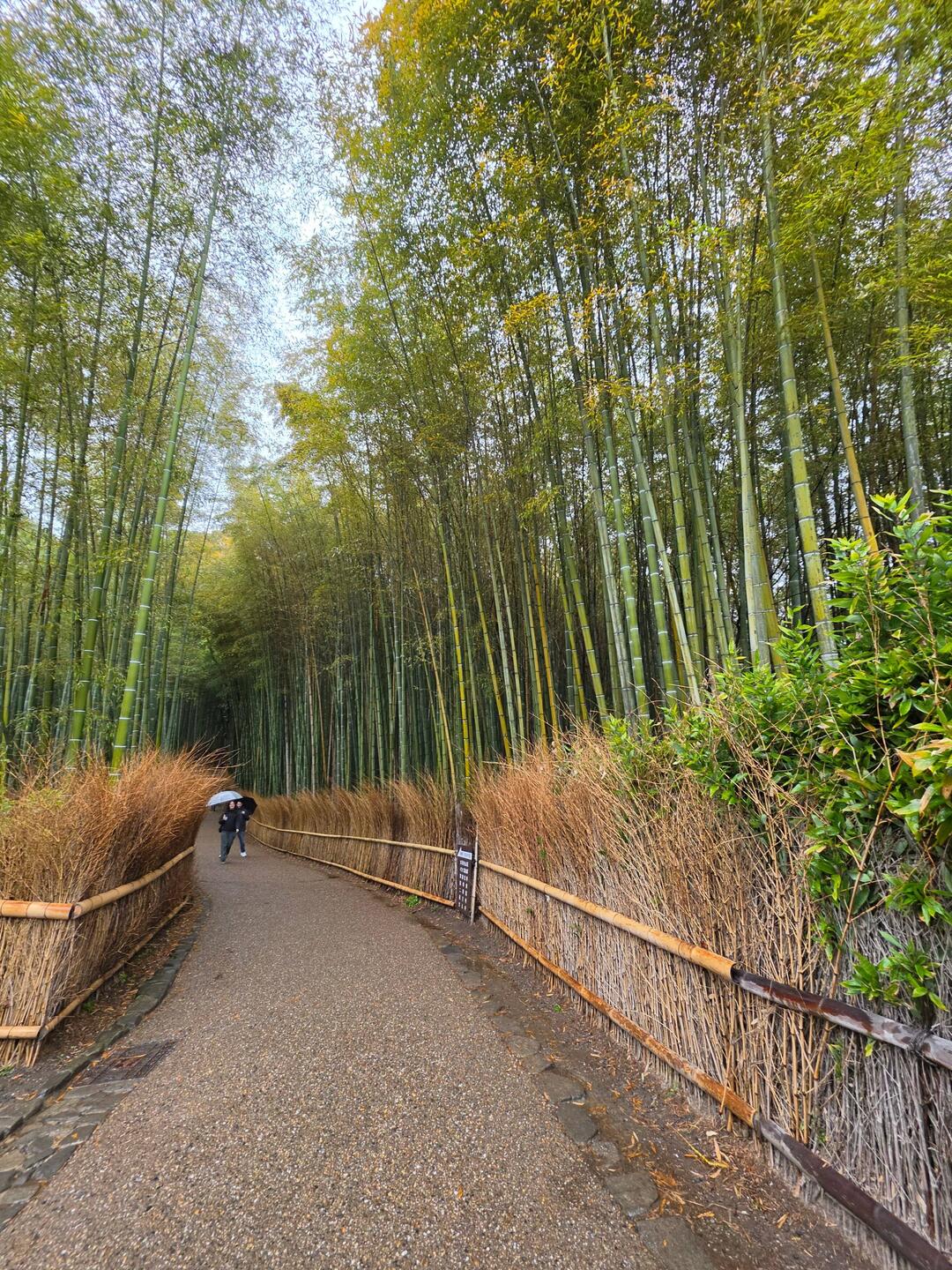 Eingang zum Bambuswald Arashiyama