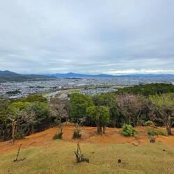 Aussicht vom Affenpark