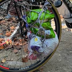 Lacking panniers, string will do.