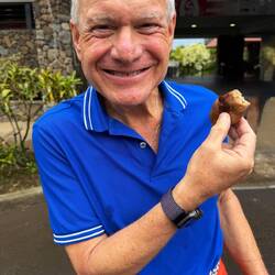 The biggest chestnut I have ever seen and eaten