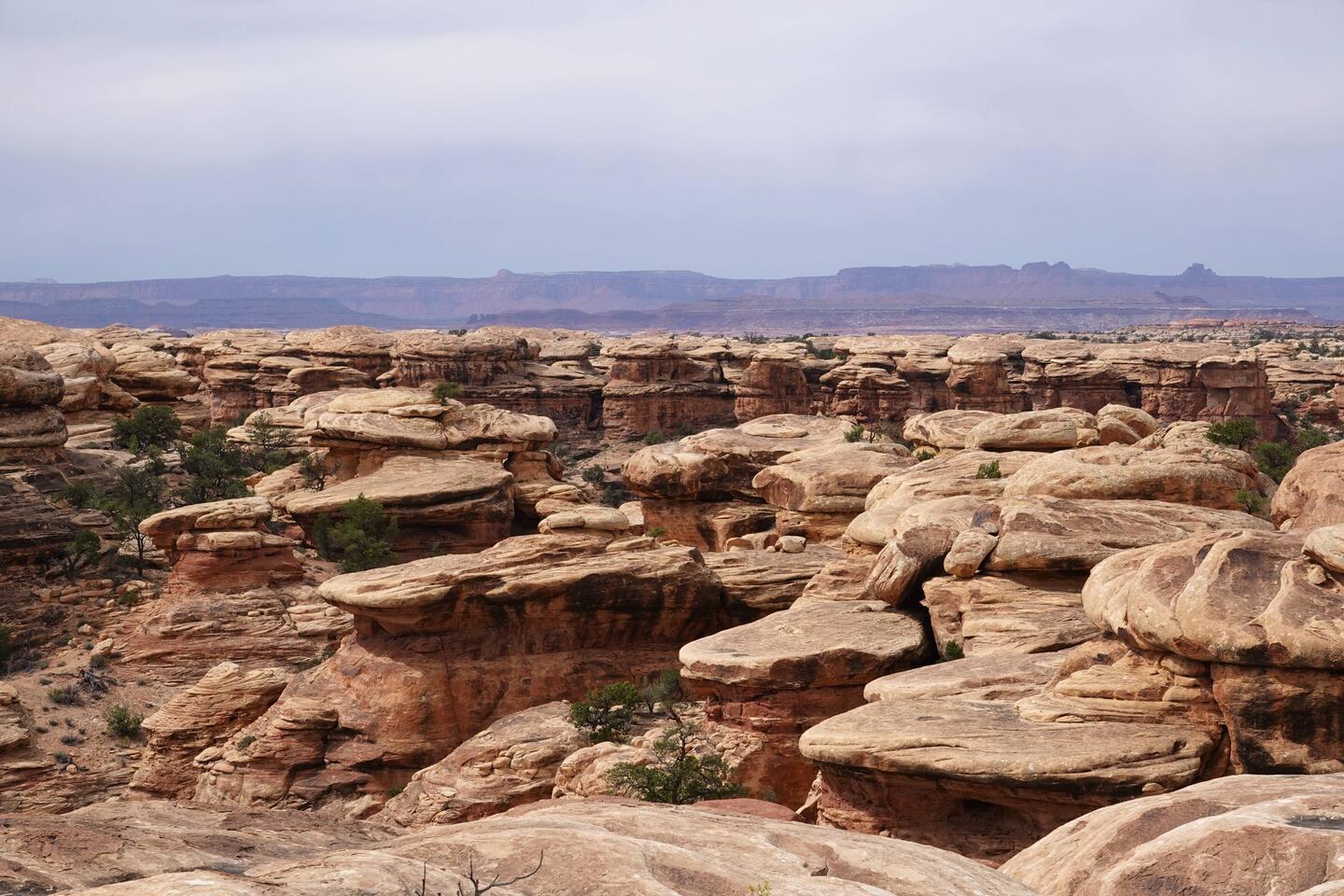 Pothole Point Trail