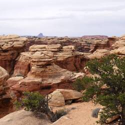 Slickrock Trail