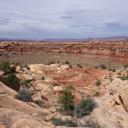 Slickrock Trail