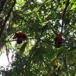 Es darf auch mal laut werden