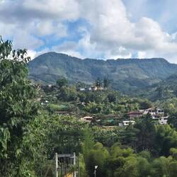 Jardin heißt übersetzt Garten - und das passt