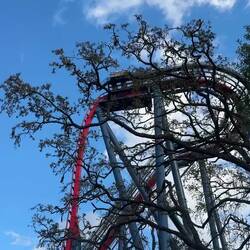 Die SheiKra