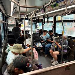In der rosafarbigen Tasche sitzt übrigens ein Vogel.
