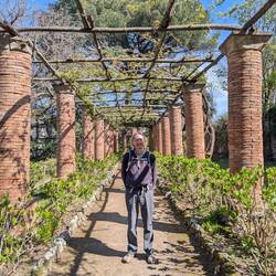 The Hortensia Avenue