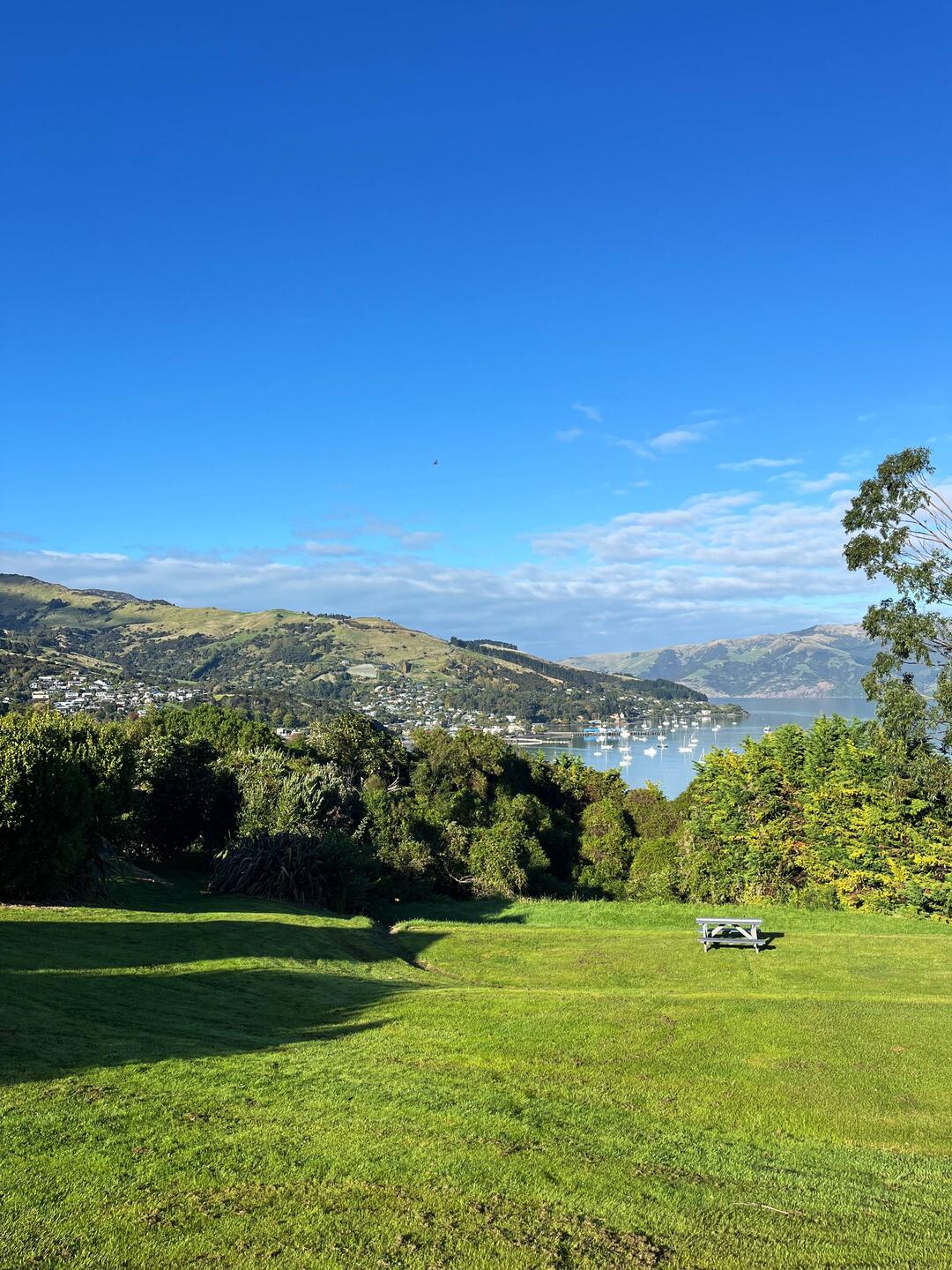 Aussicht heute Morgen auf dem Campingplatz 🤩