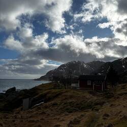 Avec la mousse au sol on se croirait dans le hobbit