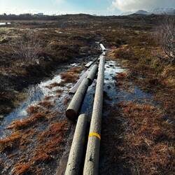 2eme vie pour ces poteaux électriques